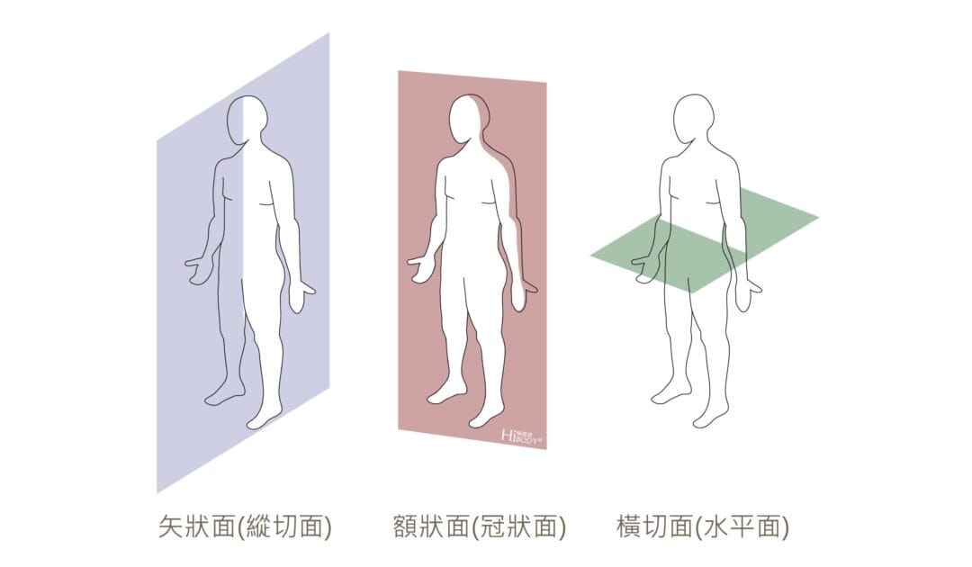 【關節動作圖解】外展、收內是什麼？1 次帶你看懂教練在說什麼。
